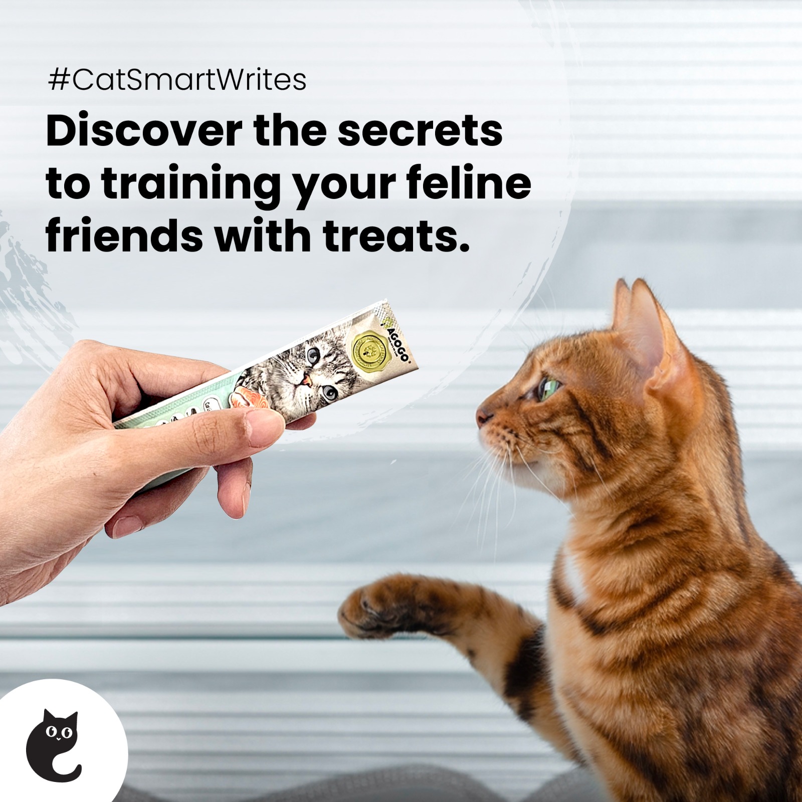 Discover the secrets to training your feline friends with treats
